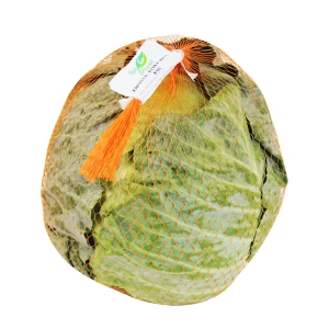 8125KAPUSTA BIAŁA MŁODA ŚWIEŻA BIO (POLSKA) (około 1,00 kg)-1