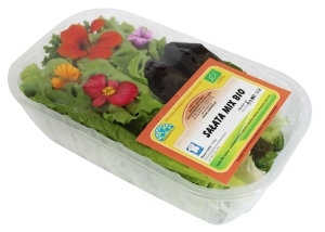 8386MIX SAŁAT ŚWIEŻY BIO (POLSKA) (około 100 g)-1