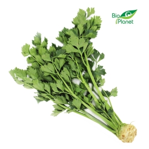 8729SELER Z NACIĄ ŚWIEŻY BIO (POLSKA) (około 0,40 kg)-1