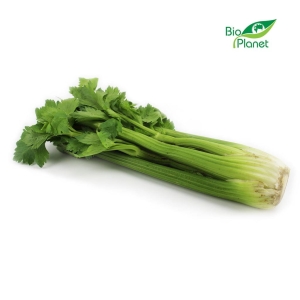 10349SELER NACIOWY ŚWIEŻY BIO (POLSKA) (około 0,25 kg)-1