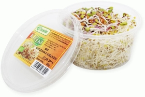 13384KIEŁKI MIESZANKA ŚWIEŻE BIO (około 50 g)-1