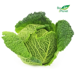 13391KAPUSTA WŁOSKA ŚWIEŻA BIO (około 0,50 kg)-1