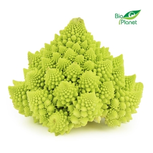13972KALAFIOR ROMANESCO ŚWIEŻY BIO (około 0,60 kg)-1