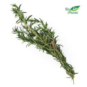 14218ROZMARYN ŚWIEŻY BIO (PĘCZEK) (około 40 g)-1