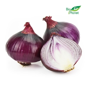 14840CEBULA CZERWONA ŚWIEŻA BIO (około 1,00 kg)-1