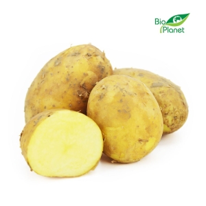 15099ZIEMNIAKI ŻÓŁTE MŁODE ŚWIEŻE BIO (POLSKA) (około 2,00 kg)-1