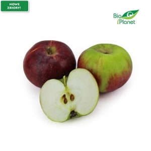 15306JABŁKA ŚWIEŻE BIO (PAULARED - POLSKA) (około 1,00 kg)-1