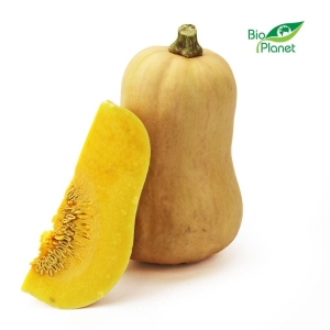 15308DYNIA PIŻMOWA (BUTTERNUT) ŚWIEŻA BIO (POLSKA) (około 2,00 kg)-1