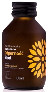 15501SHOT KOMBUCHA ODPORNOŚĆ BEZGLUTENOWY BIO 100 ml - VIGO-1