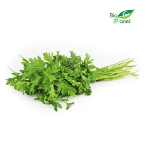 6467NATKA PIETRUSZKI ŚWIEŻA BIO (POLSKA) (około 35 g)-1