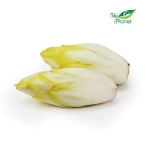 16061CYKORIA ŚWIEŻA BIO (około 0,50 kg)-1