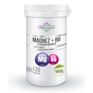 16367MAGNEZ + WITAMINA B6 120 KAPSUŁEK (97,5 mg + 1,4 mg) - SOUL FARM-1