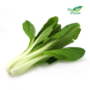 39380KAPUSTA PAK CHOI ŚWIEŻA BIO (około 0,25 kg)-1