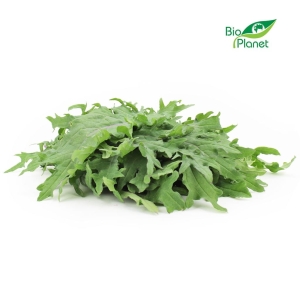 44307JARMUŻ ŚWIEŻY BIO (POLSKA) (około 0,10 kg)-1