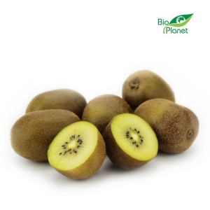 45049KIWI ŻÓŁTE ŚWIEŻE BIO (około 0,50 kg)-1