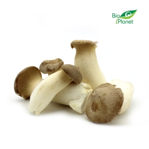 45393GRZYBY ERYNGII (BOROWIK STEPOWY) ŚWIEŻE BIO (POLSKA) (około 0,20 kg)-1