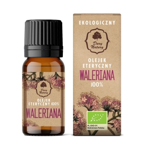 45708OLEJEK ETERYCZNY WALERIANA BIO 10 ml - DARY NATURY-1