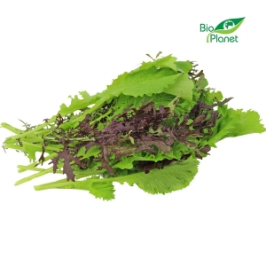 46174MUSZTARDOWIEC ŚWIEŻY BIO (POLSKA) (około 100 g)-1