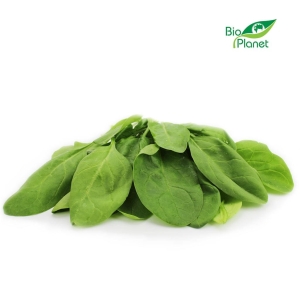46175SZPINAK ŚWIEŻY NIEMYTY BIO (POLSKA) (około 0,10 kg)-1