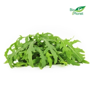 46176RUKOLA ŚWIEŻA NIEMYTA BIO (POLSKA) (około 0,10 kg)-1