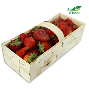 46178TRUSKAWKA ŚWIEŻA BIO (POLSKA) (opakowanie około 2,00 kg)-1