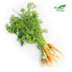 46188WŁOSZCZYZNA PĘCZEK ŚWIEŻA BIO (POLSKA) (około 0,40 kg)-1