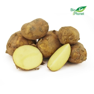 46340ZIEMNIAKI BIAŁE MŁODE ŚWIEŻE BIO (POLSKA) (około 2,00 kg)-1
