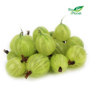 46515AGREST ŚWIEŻY BIO (POLSKA) (około 0,20 kg)-1
