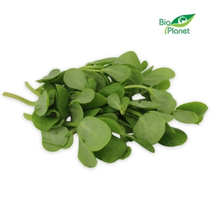 46555PORTULAKA ŚWIEŻA NIEMYTA BIO (POLSKA) (około 0,10 kg)-1