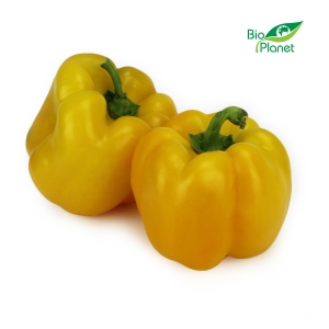 47678PAPRYKA ŻÓŁTA ŚWIEŻA BIO (POLSKA) (około 0,50 kg)-1