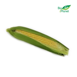 47702KUKURYDZA ŚWIEŻA BIO (POLSKA) (około 0,25 kg)-1