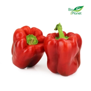 48349PAPRYKA CZERWONA ŚWIEŻA BIO (POLSKA) (około 0,50 kg)-1