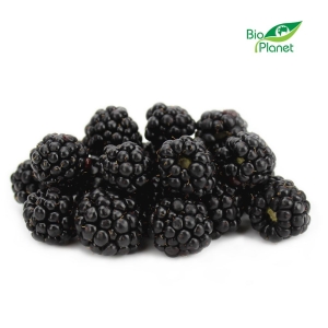 48582JEŻYNY ŚWIEŻE BIO (około 0,125 kg)-1