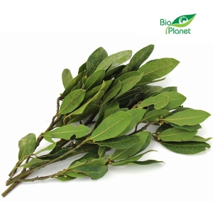 48816LIŚĆ LAUROWY ŚWIEŻY BIO (około 50 g)-1