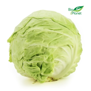 48891KAPUSTA MŁODA ŚWIEŻA BIO (około 0,80 kg)-1