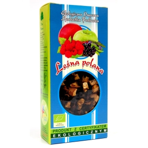 9112HERBATKA LEŚNA POLANA BIO 100 g - DARY NATURY-1