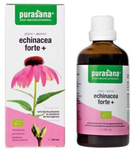 9674ECHINACEA FORTE (JEŻÓWKA PURPUROWA) KROPLE BIO 100 ml - PURASANA-1