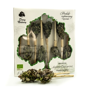 8940HERBATKA NA PATYKU MIĘTOWE ORZEŹWIENIE BIO (8 x 3 g) - DARY NATURY-1