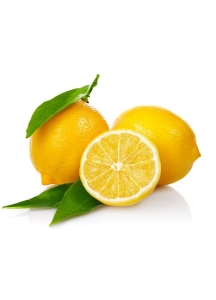 e25db25d05fbe8dd06c16c4d970f0329.jpg